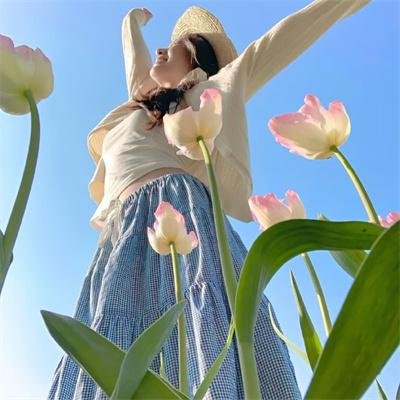 侦探奇克·卡特