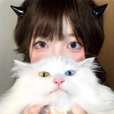 小田进城